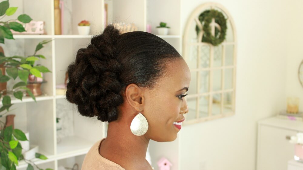 protective hair updo
