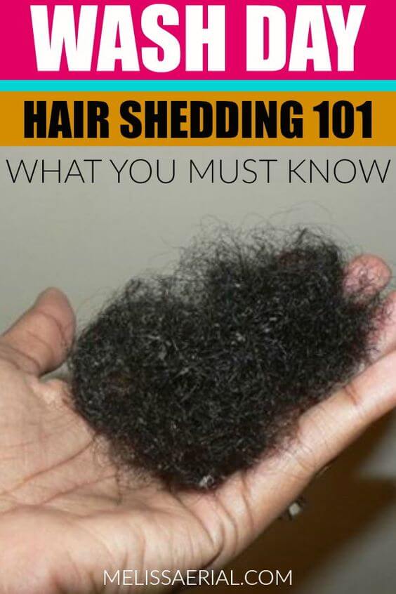 wash day hair shedding