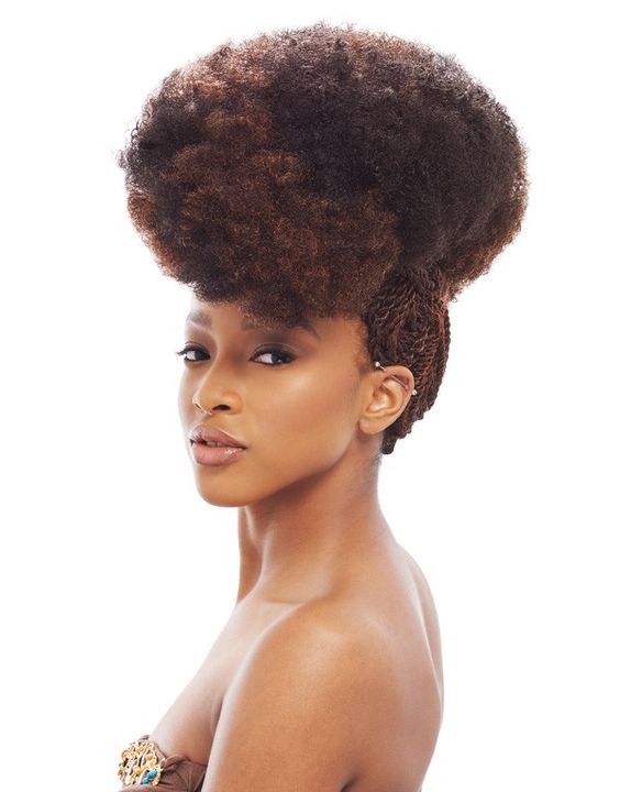 Show Me Natural Black Hairstyles