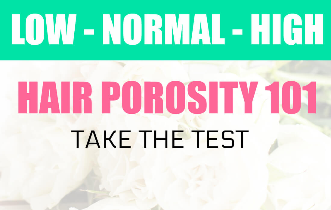 hair porosity