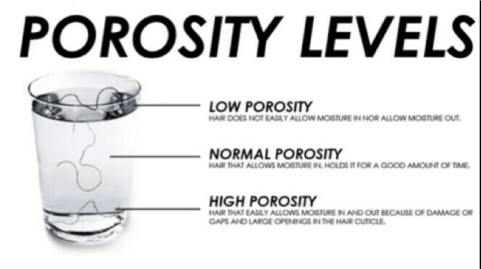 hair porosity 101