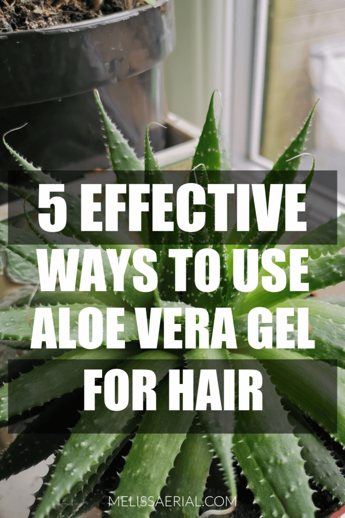 aloe vera