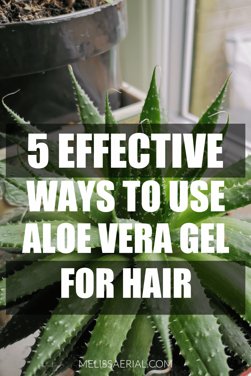 Aloe Vera Gel For Hair Growth And How To Use It On Your Natural Hair