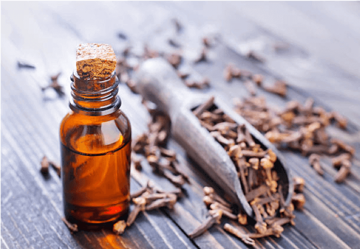 cloves benefits for hair growth
